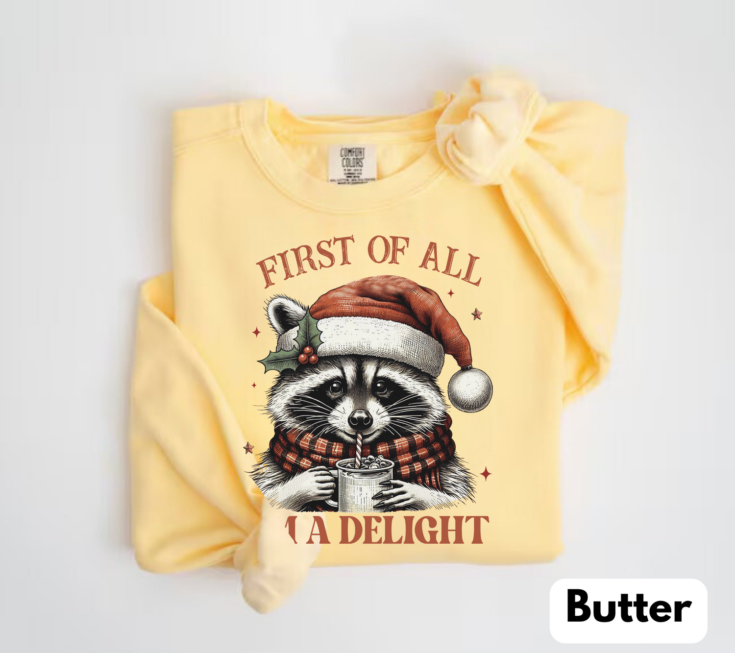Raccoon Im a delight Christmas Sweatshirts Hippo Boutique