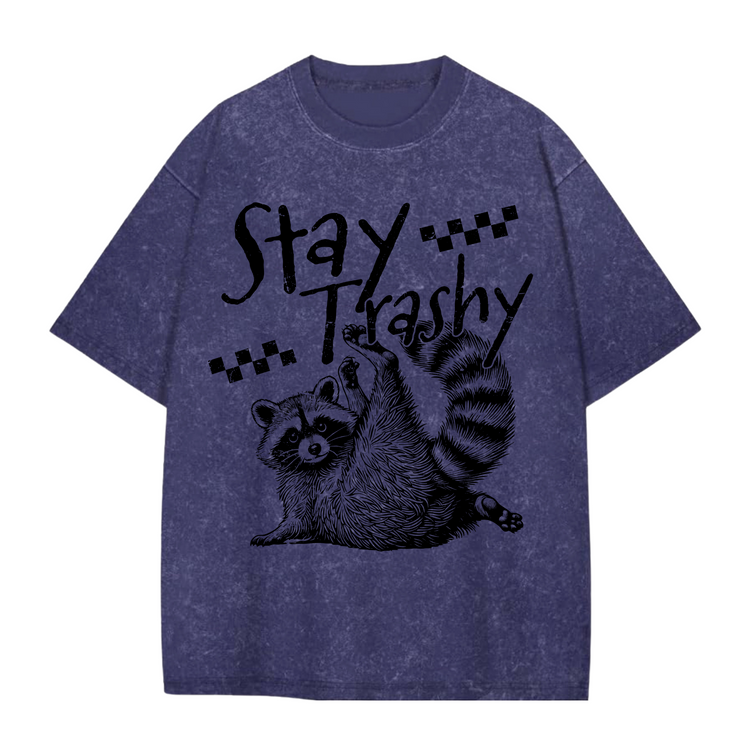 Oversized Acid Washed Raccoon T-Shirt Hippo Boutique
