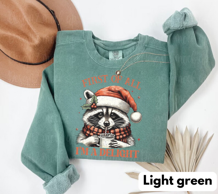 Raccoon Im a delight Christmas Sweatshirts Hippo Boutique