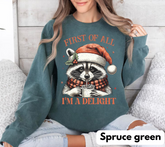Raccoon Im a delight Christmas Sweatshirts Hippo Boutique