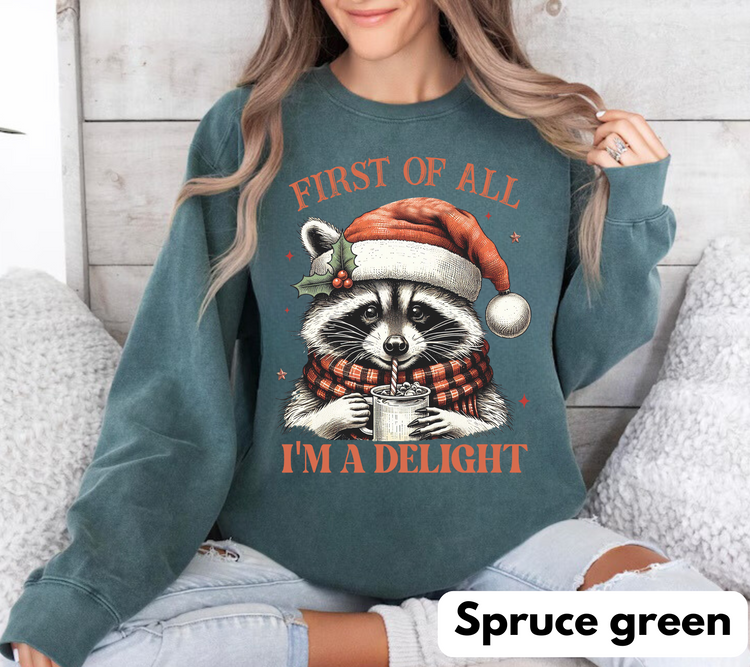 Raccoon Im a delight Christmas Sweatshirts Hippo Boutique