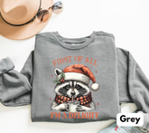 Raccoon Im a delight Christmas Sweatshirts Hippo Boutique