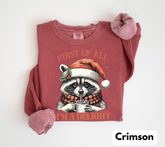 Raccoon Im a delight Christmas Sweatshirts Hippo Boutique