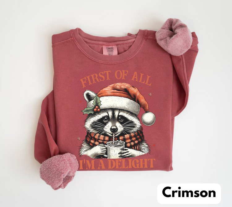 Raccoon Im a delight Christmas Sweatshirts Hippo Boutique