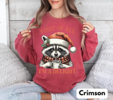 Raccoon Im a delight Christmas Sweatshirts Hippo Boutique