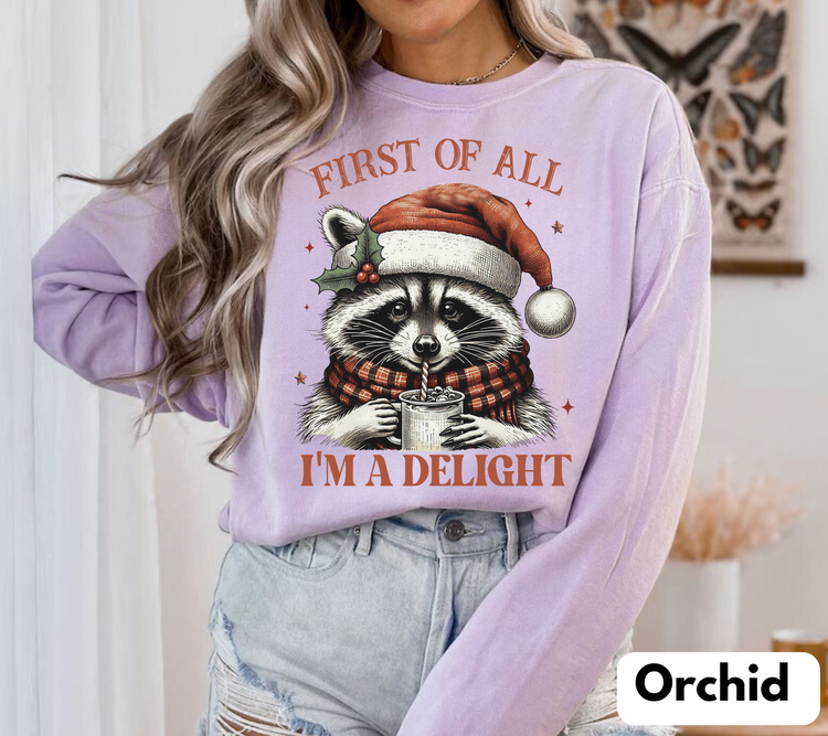 Raccoon Im a delight Christmas Sweatshirts Hippo Boutique