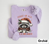 Raccoon Im a delight Christmas Sweatshirts Hippo Boutique