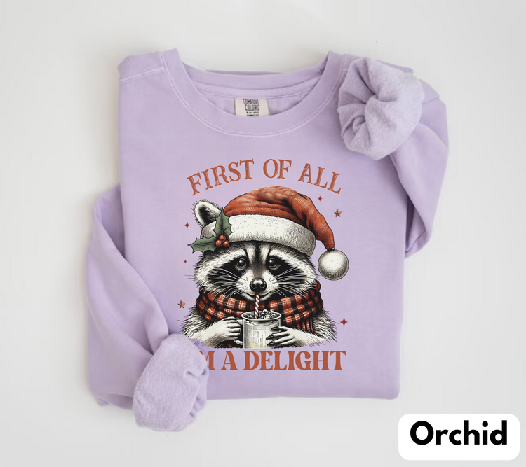 Raccoon Im a delight Christmas Sweatshirts Hippo Boutique