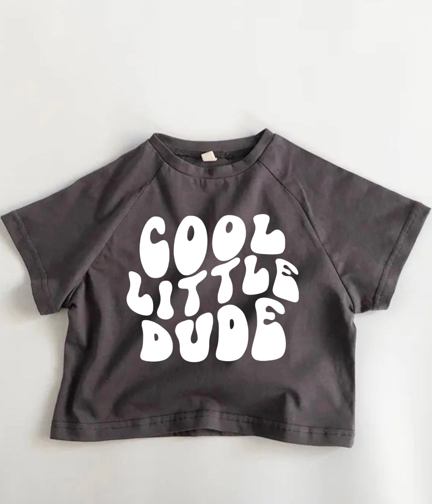 Cool Lil Dude Oversized Graphic T-Shirts Hippo Boutique