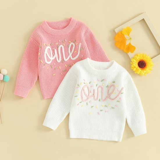 Babies First Birthday Confetti Embroidered Knit Sweaters Hippo Boutique