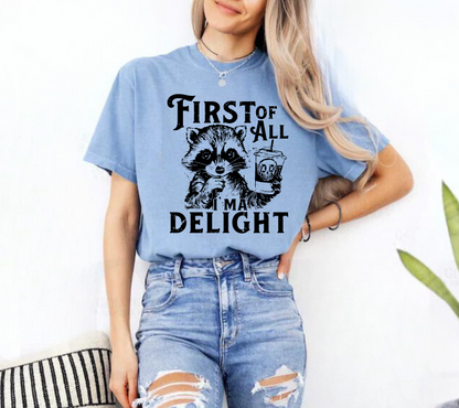 First of all I’m a Delight Raccoon T-Shirt Hippo Boutique