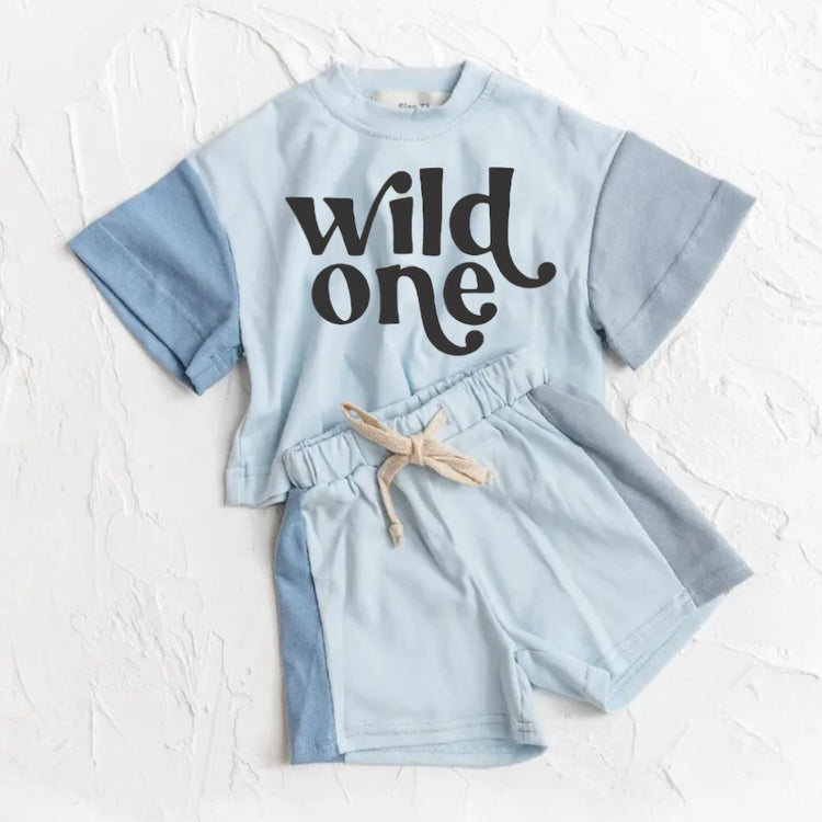 Wild One Baby and toddler cotton color block t-shirt & shorts outfit Hippo Boutique