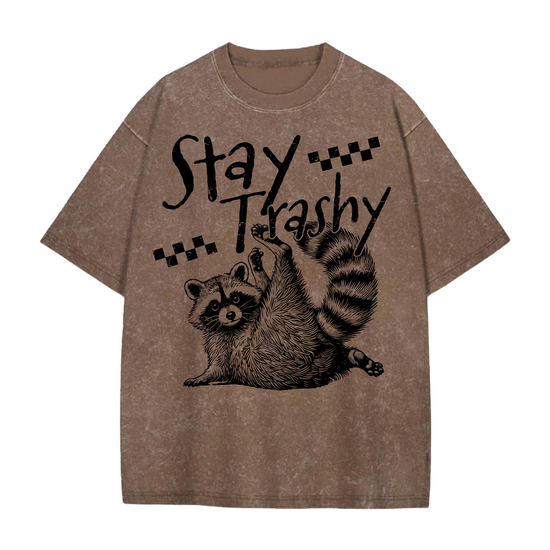 Oversized Acid Washed Raccoon T-Shirt Hippo Boutique