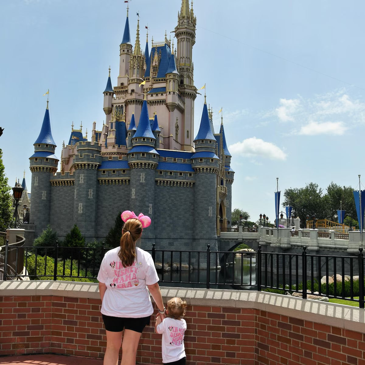 In my Disney Mama & Mini Matching Disney T-Shirts & Onesie - White