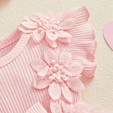 Floral Lace Baby Girl Dress Romper with Matching Flower Headband Hippo Boutique
