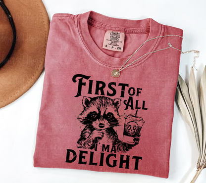 First of all I’m a Delight Raccoon T-Shirt Hippo Boutique