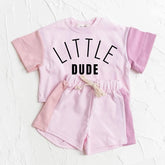 Little Dude Baby and Kids cotton color block t-shirt & shorts outfit Hippo Boutique
