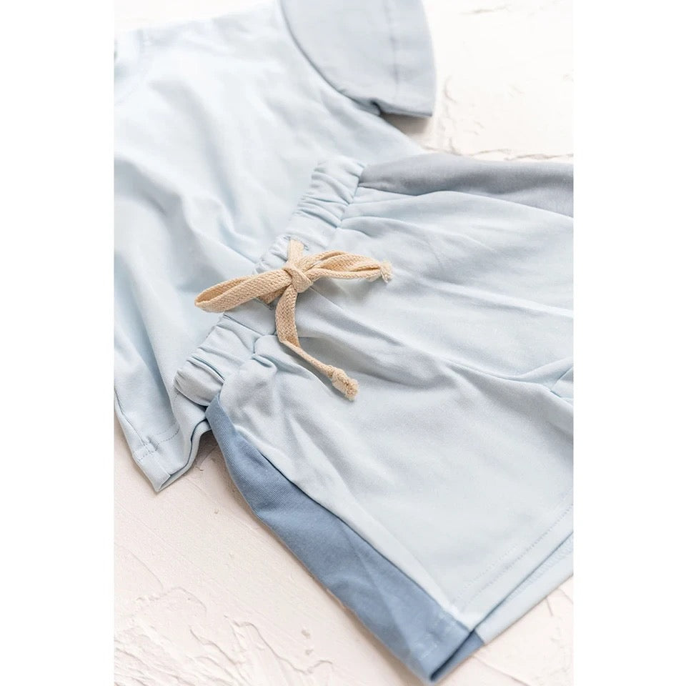 Baby & Toddler cotton color block t-shirt & shorts outfit Hippo Boutique