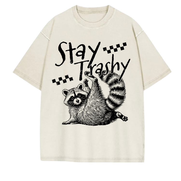 Oversized Acid Washed Raccoon T-Shirt Hippo Boutique
