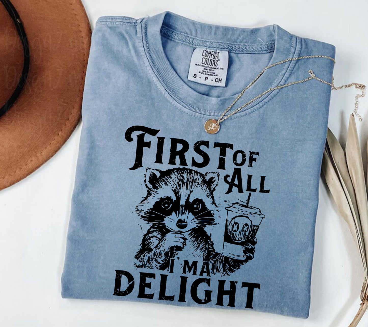 First of all I’m a Delight Raccoon T-Shirt Hippo Boutique