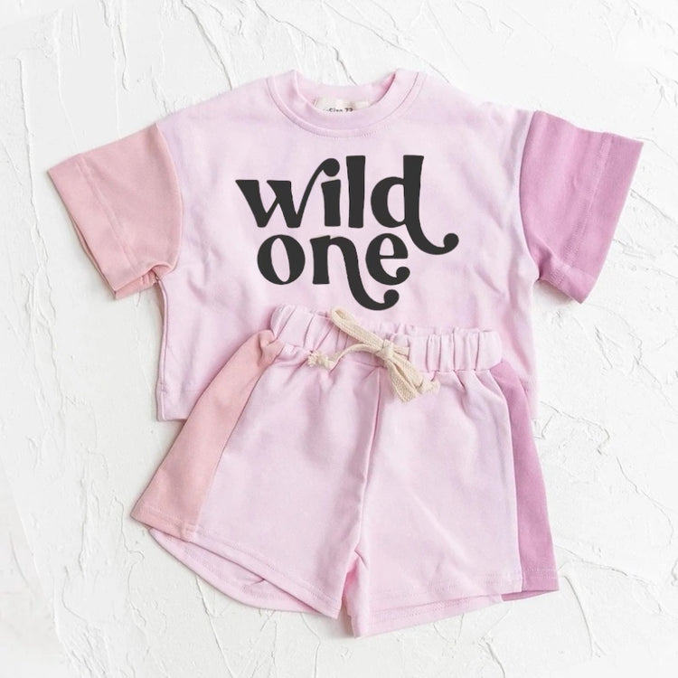 Wild One Baby and toddler cotton color block t-shirt & shorts outfit Hippo Boutique