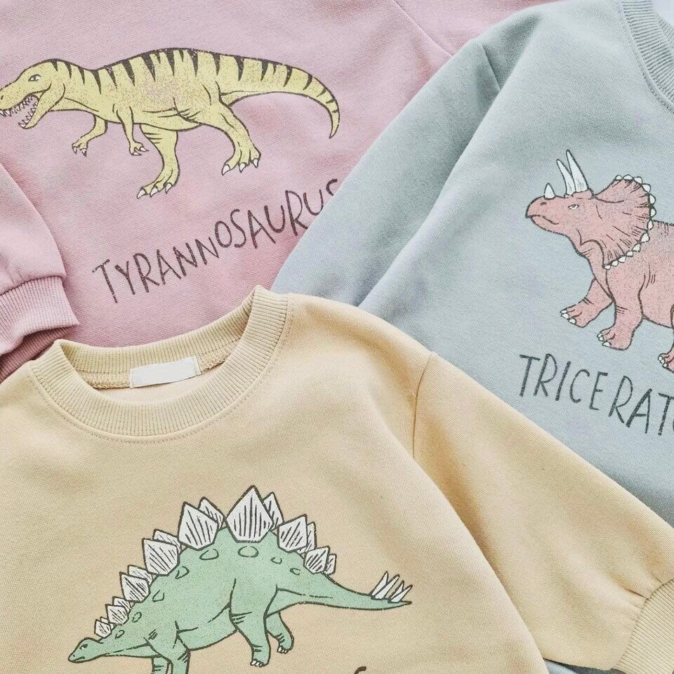 Dinosaur Baby Sweatshirt Romper/baby clothes/baby clothes/sweatshirt/baby sweatshirt/onesie/bubble/baby gift/romper/baby shower/newborn