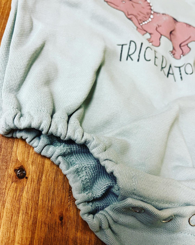 Dinosaur Baby Sweatshirt Romper/baby clothes/baby clothes/sweatshirt/baby sweatshirt/onesie/bubble/baby gift/romper/baby shower/newborn