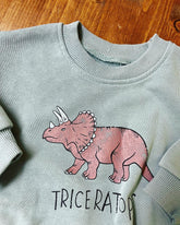 Dinosaur Baby Sweatshirt Romper/baby clothes/baby clothes/sweatshirt/baby sweatshirt/onesie/bubble/baby gift/romper/baby shower/newborn