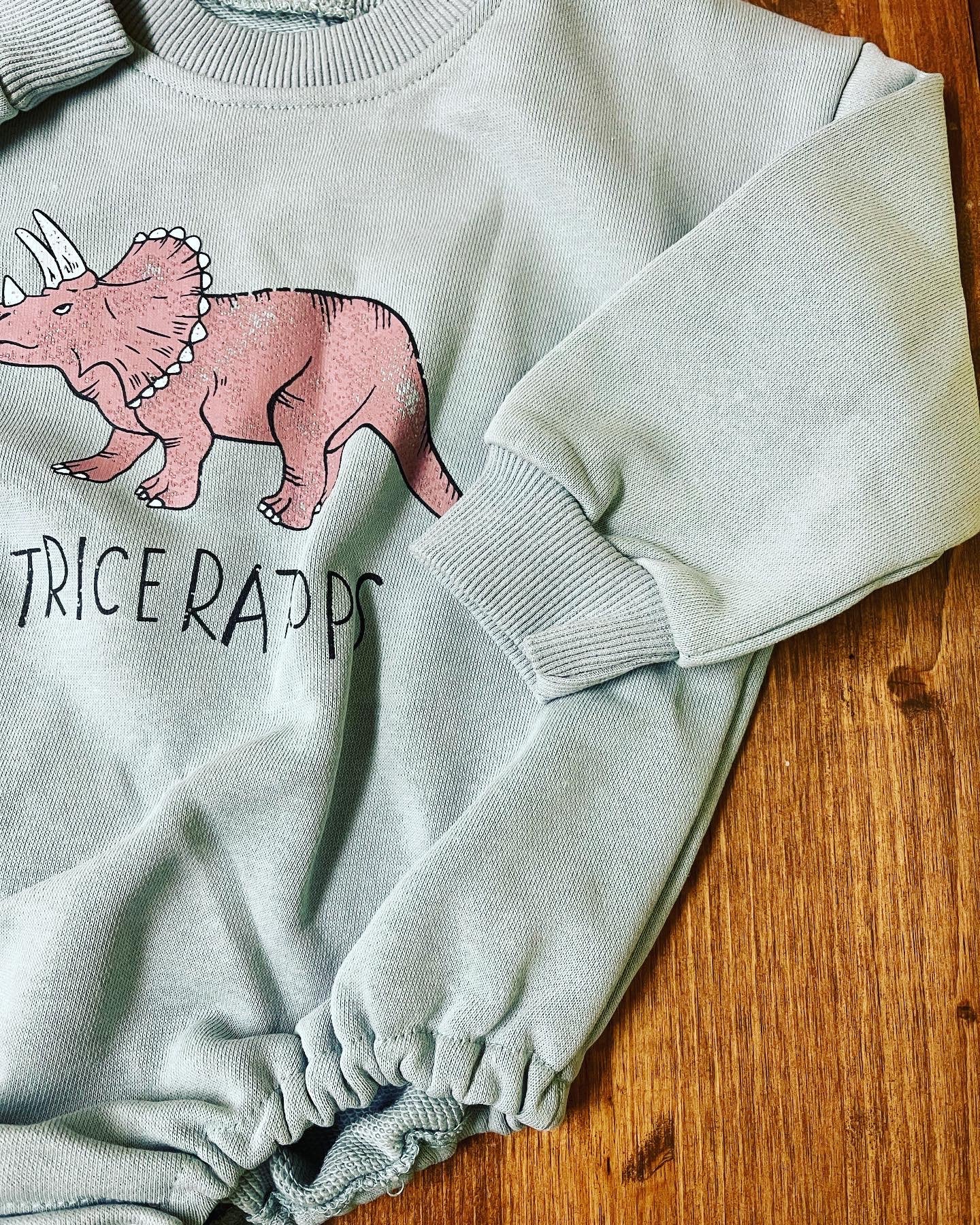 Dinosaur Baby Sweatshirt Romper/baby clothes/baby clothes/sweatshirt/baby sweatshirt/onesie/bubble/baby gift/romper/baby shower/newborn