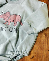 Dinosaur Baby Sweatshirt Romper/baby clothes/baby clothes/sweatshirt/baby sweatshirt/onesie/bubble/baby gift/romper/baby shower/newborn