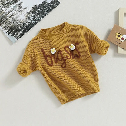 Knit Embroidered Big Sis baby girl sweater