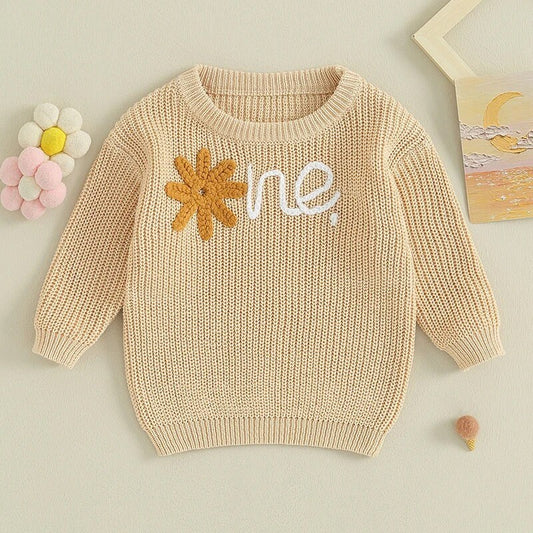 Knit Embroidered baby girls first birthday sweater / infant sweater / baby clothes / one / baby girl / baby gift / baby shower / fall sweat