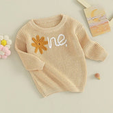 Knit Embroidered baby girls first birthday sweater / infant sweater / baby clothes / one / baby girl / baby gift / baby shower / fall sweat