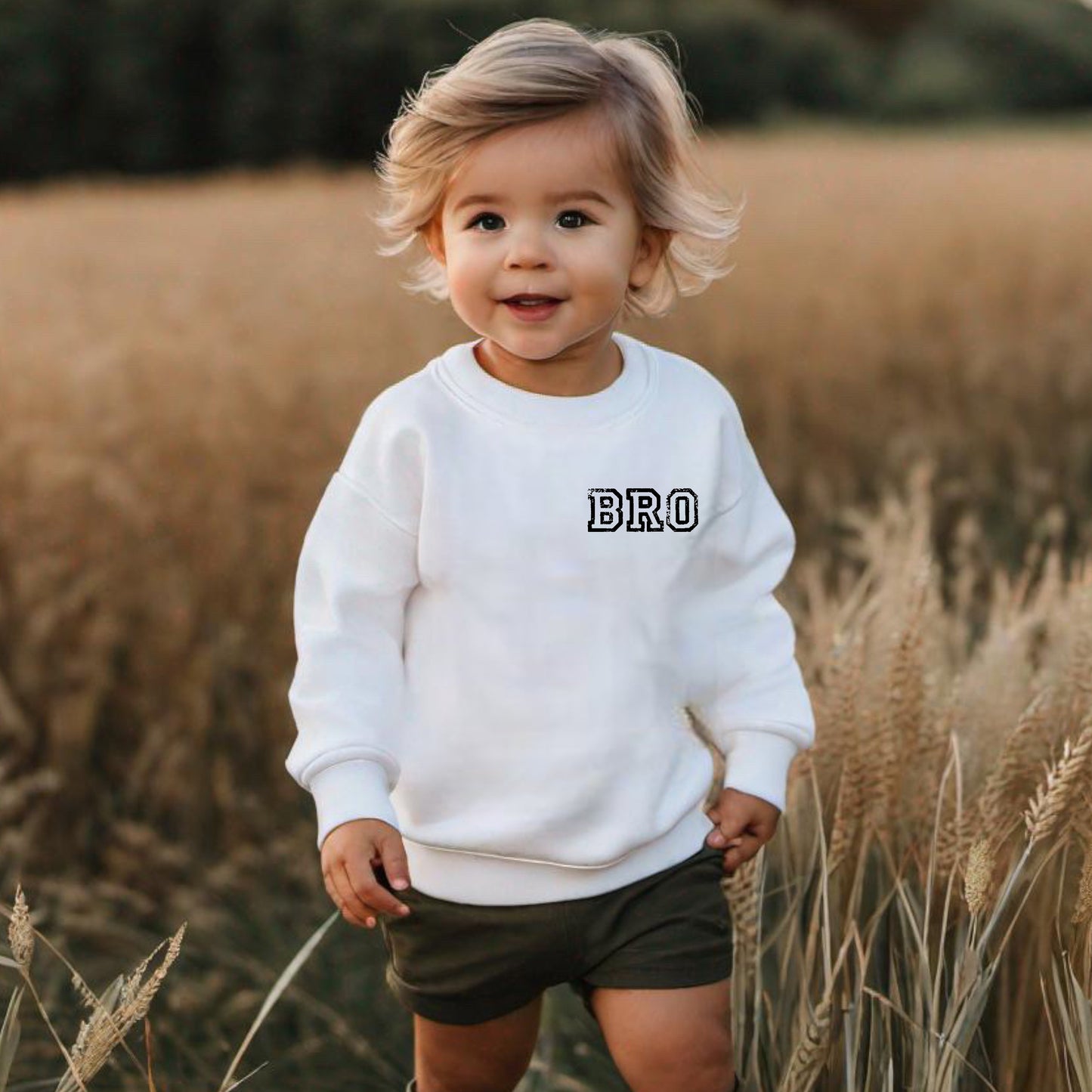 Bro Baby Boy Sweatshirt / baby sweatshirt / brother baby clothes baby shirt toddler big bro crewneck sweatshirt boy clothes sweater siblings