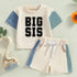 color block toddler and baby girl big sis outfit, infant outfit, baby shirt, baby girl , baby clothes, baby shower, gift baby gift, sister,